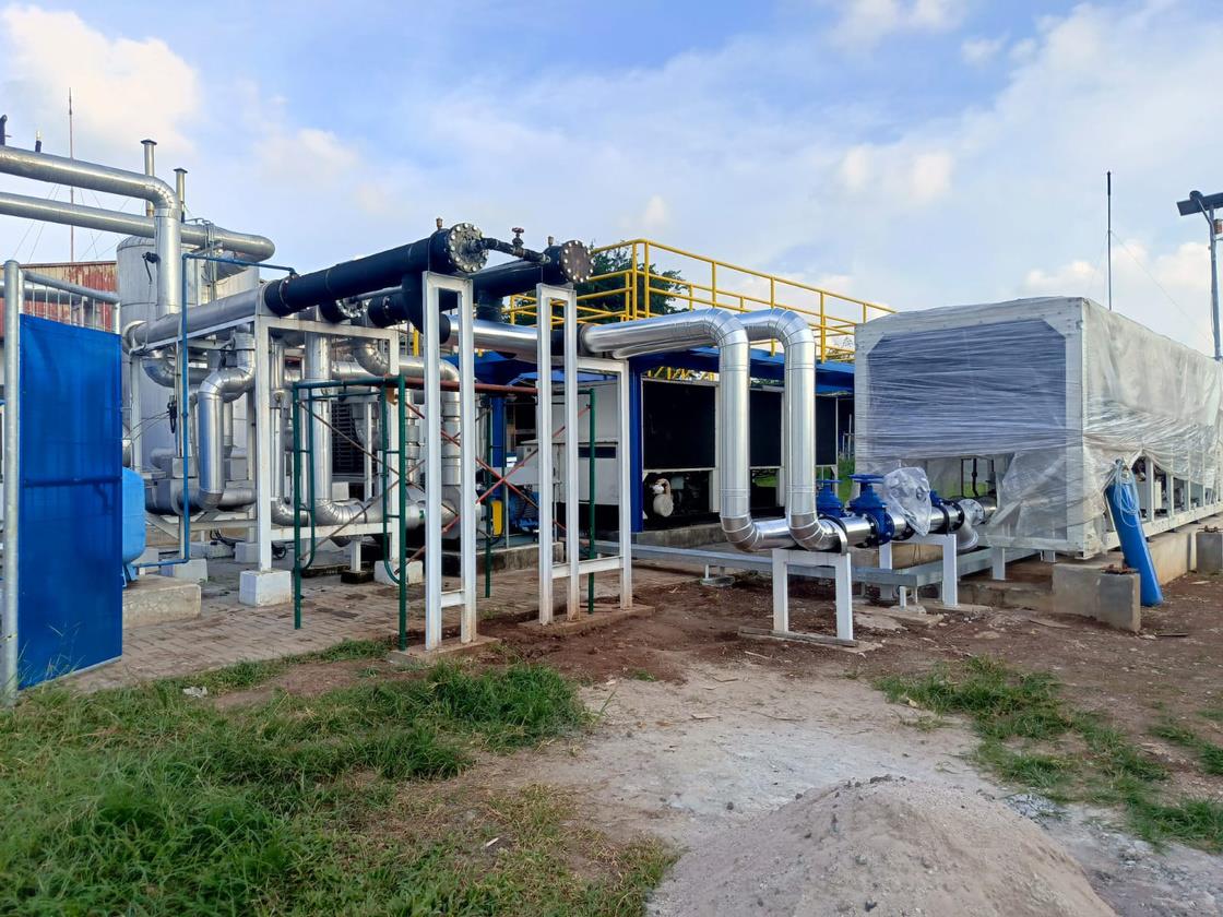 Project field activity